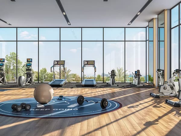 The gym, artist's impression