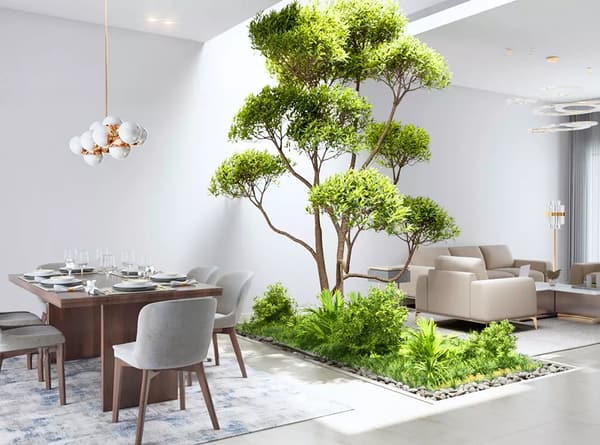 A dining room with an indoor tree, artist's impression