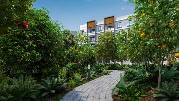 The fruit orchard walk at Sattva SimpliCity, artist's impression