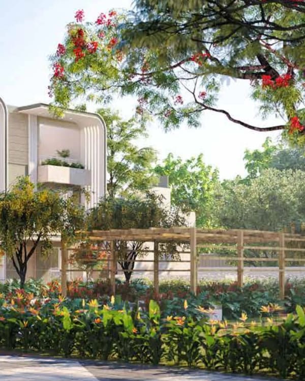 Sattva Songbird row houses behind a pergola garden and a flowering tree, artist's impression