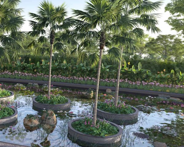 Tree planters in a water garden beside the outdoor yoga deck, artist's impression